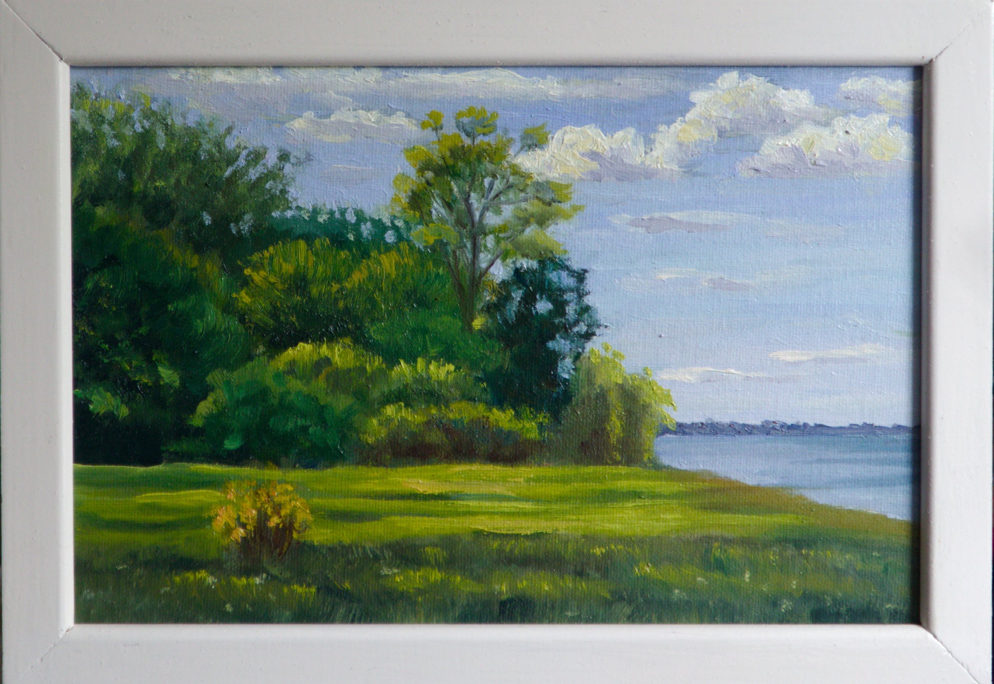 Frühling am Greifswalder Bodden, Öl, 20 x 30 cm