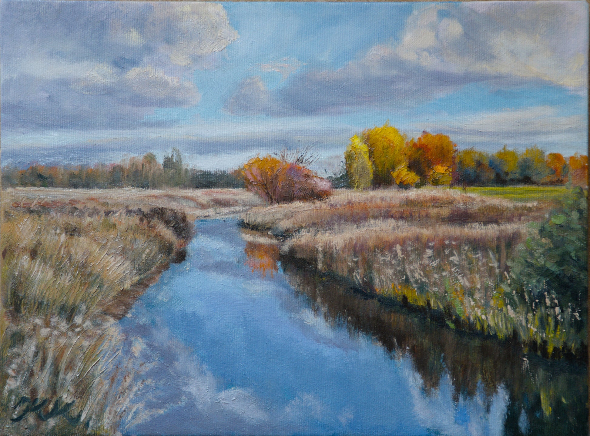 Originales Ölgemälde auf Leinwand, 30×40 cm – Ryckgraben bei Greifswald im Spätsommer, Klaus Krege 2025