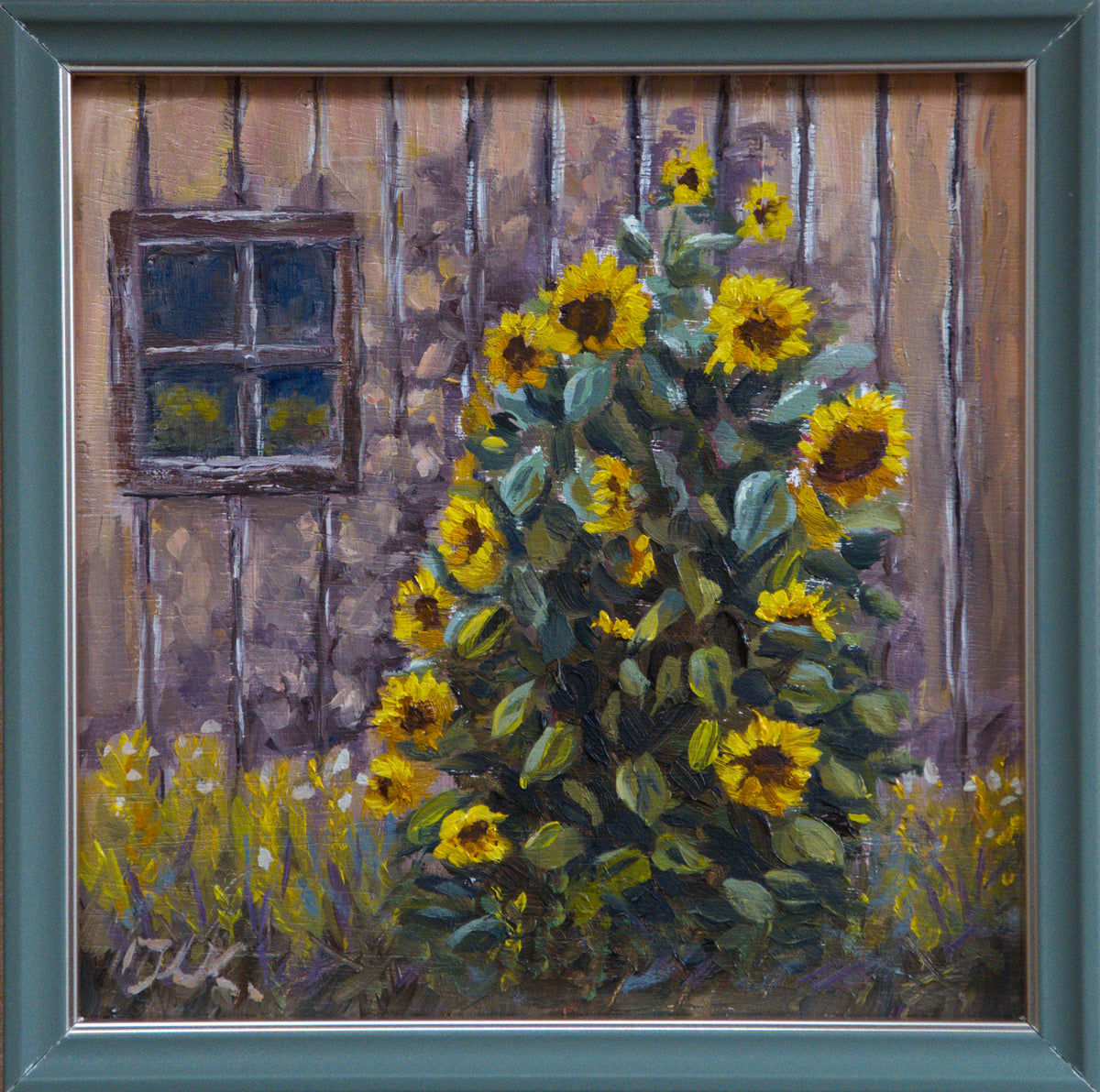 Sonnenblume vor dem Schuppen